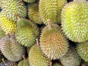 the benefits of durian