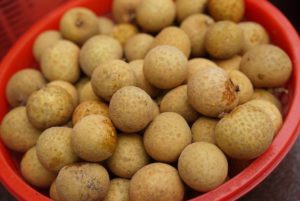 longan foodscream